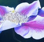 Nelly Moser 2 Painting